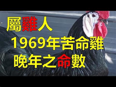 1969年屬雞運勢|【1969 年生肖】1969 年生肖屬雞：2023 年運勢強勁，貴人相助。